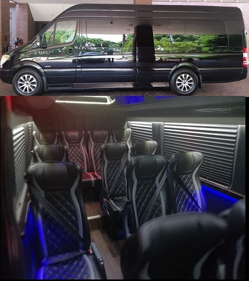 luxury 12 passenger van