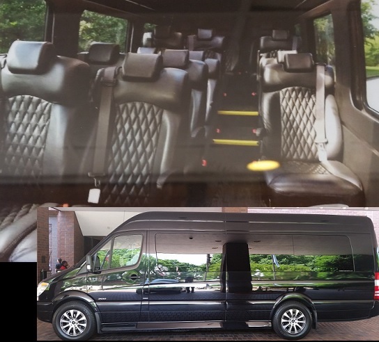 15 Passenger Sprinter van bus Atlanta